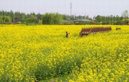 国外免费建站网站