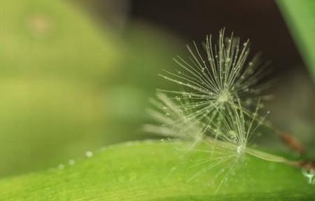 拨开两唇打花蒂戒尺